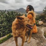 channarayana_durga_dog